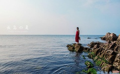 樱花直播2021最新版下载